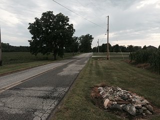 Property photo 5 - LAND AUCTION, 55+/- Acres offered in 2 tracts